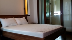 Newton 18 (D11), Apartment #210652431